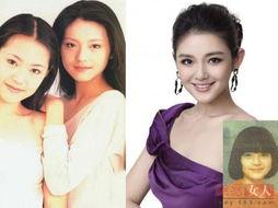 没有整容的明星,揭秘未整容明星的真实魅力