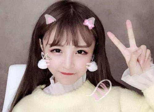 网红猫妹妹身世