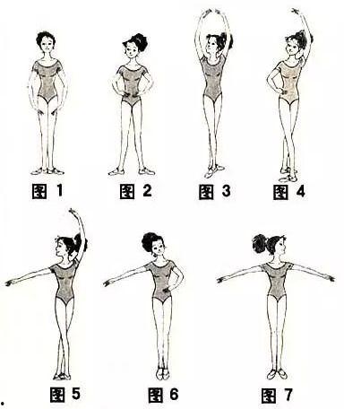 芭蕾手位图片,优雅舞姿的奥秘解析