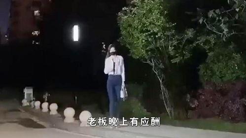 花千搞笑视频 百,笑料百出，欢乐无限