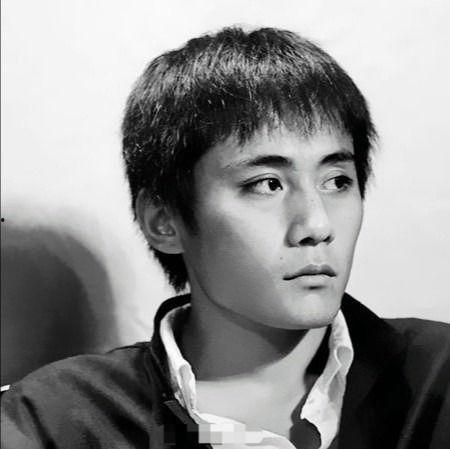 刘烨的照片,光影交织下的魅力人生