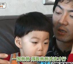 森碟表情包,萌动瞬间，笑翻全网