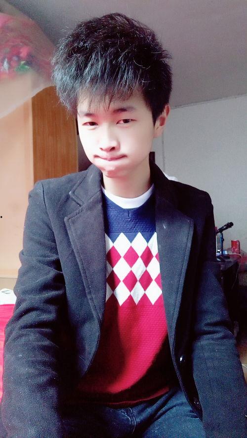 麻毅个人资料,科技领域的创新先锋与行业领军人物